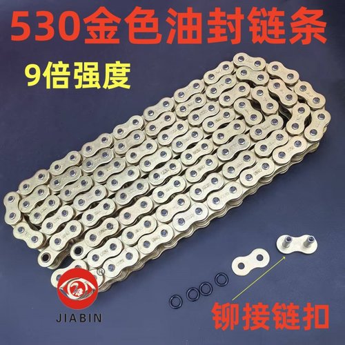 适用力帆V16/LF250-D-L-E赛科龙RX3S/400/500大地鹰王530油封链条
