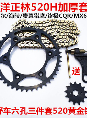 M4m7/MX6海陵贵尊S36极盗者正林T46k6越野摩托车链轮牙盘链条套链