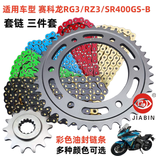 赛科龙RG3/RE3/RZ3摩托车套链