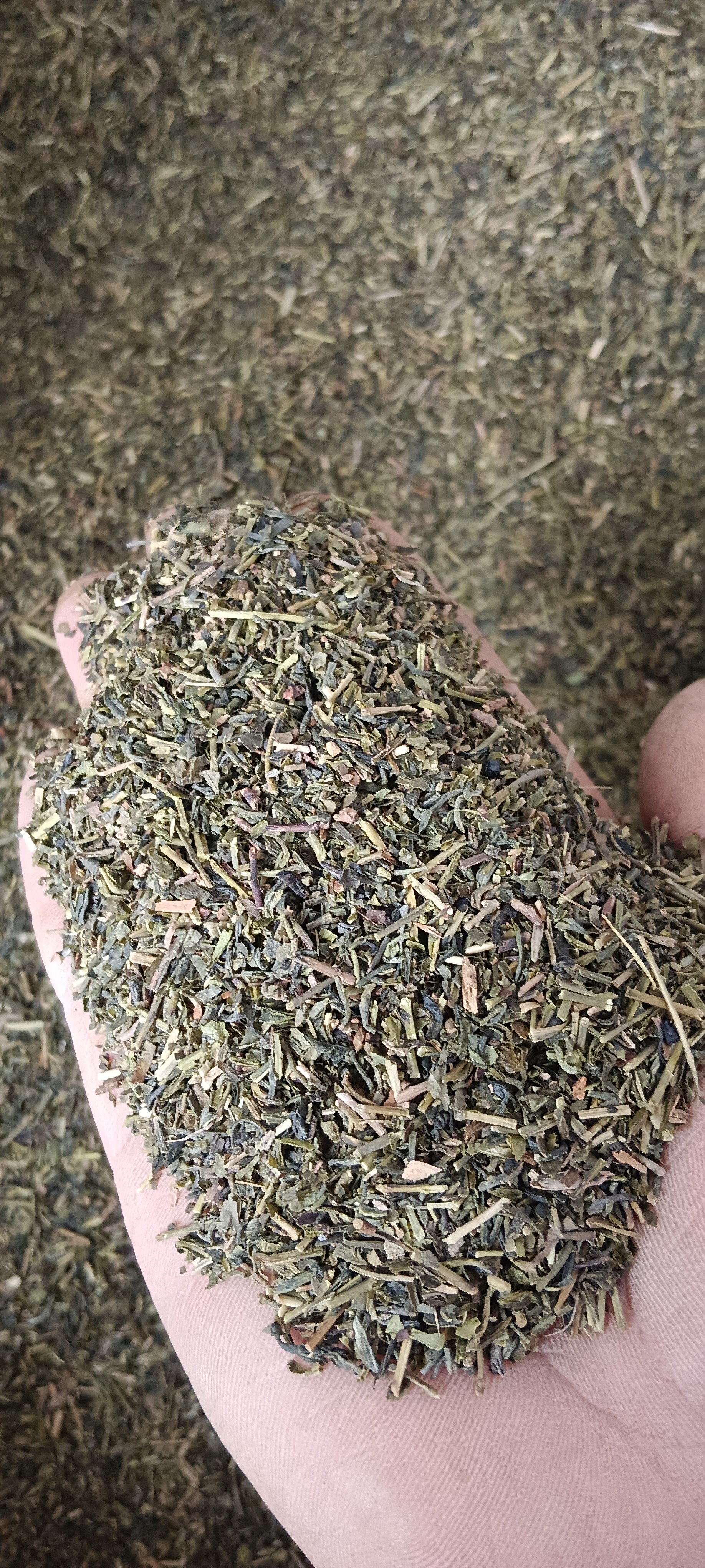 茶叶梗猫砂装修家用除味10斤散竹炭包/炭盒/活性炭