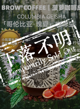 菠萝咖啡成子哥伦比亚瑰夏咖啡豆水洗中度烘焙精品手冲焙罐装120g