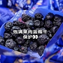 无防腐剂果脯孕妇零食休闲食品即食烘焙 蓝莓干蓝莓果干500g小包装