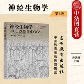 第四版 第4版 寿天德 高等教育出版 高校生物科学生物技术信息科学医学专业神经生物学大学本科考研教材 中法图正版 社 神经生物学