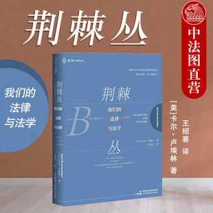我们 法律与法学 批判法学理论 2020新 法学院学生法律人律师读物书入门书籍 名著 荆棘丛 现实主义法学经典 中法图正版 麦读系列