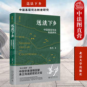 中国基层司法制度研究 送法下乡 第三版 第3版 基层法院审判纠纷解决司法制度基层普法读物 中法图正版 苏力代表作修订版 2022新