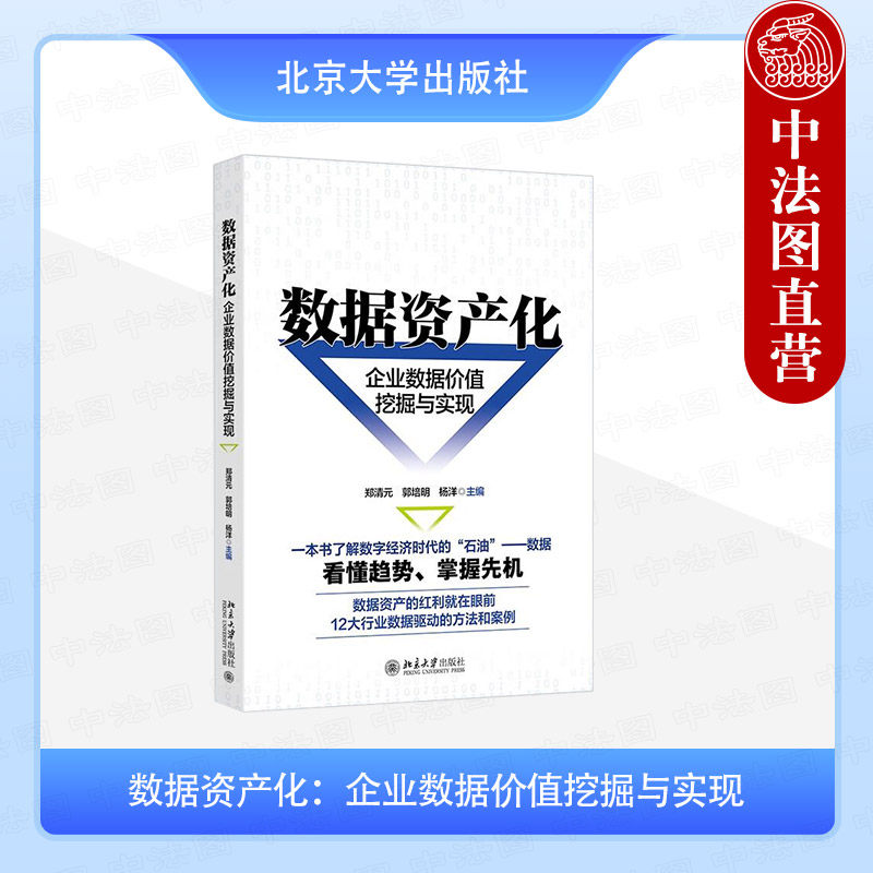 正版 数据资产化：企业数据价值挖掘与实现 郑清元 郭培明 杨洋 北京大学出版社 数据资产确权评估各领域应用风险管理发展前景书籍