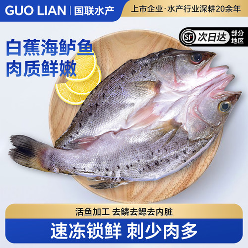 国联水产白蕉海鲈鱼活鱼加工开袋即烹开背新鲜冷冻海鲜食材生鲜