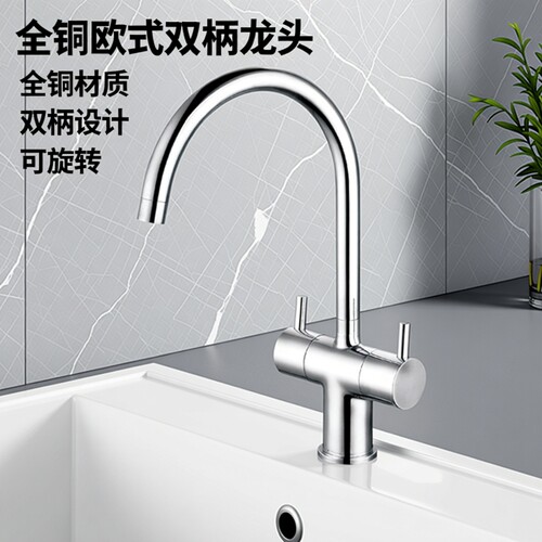 狮林全铜欧式双开创意厨房水龙头