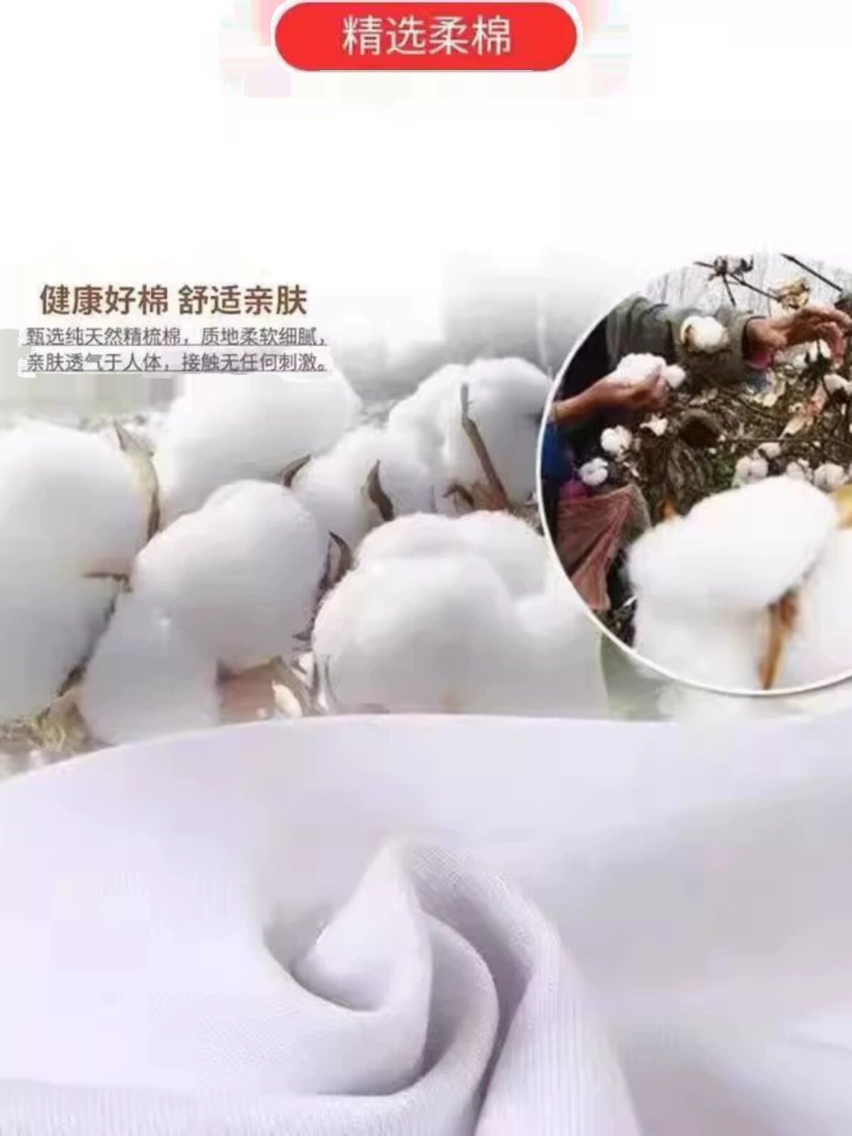 빅 브랜드 컷 라벨 대외 무역 수출 오리지널 심플 코튼 캐주얼 프린트 스웨트 셔츠 여성 패션 슬림 봄 가을 예술적상의