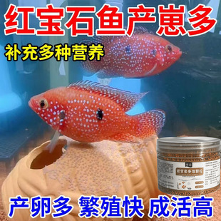 红宝石鱼饲料促产卵繁殖下崽鱼食血钻红宝石鱼鹦鹉鱼通用型