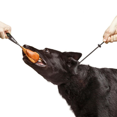 宠物窒息训练P绳Dingo齿轮扼流圈