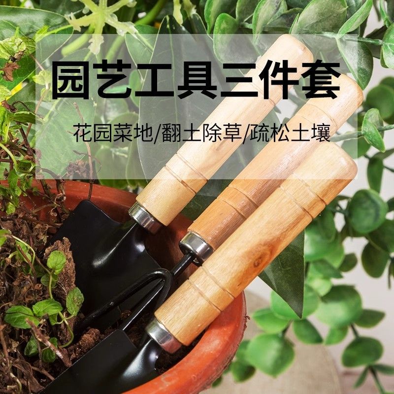 园艺种植工具家用松土小铲子花铲盆栽花艺多肉种植工具三件套种菜