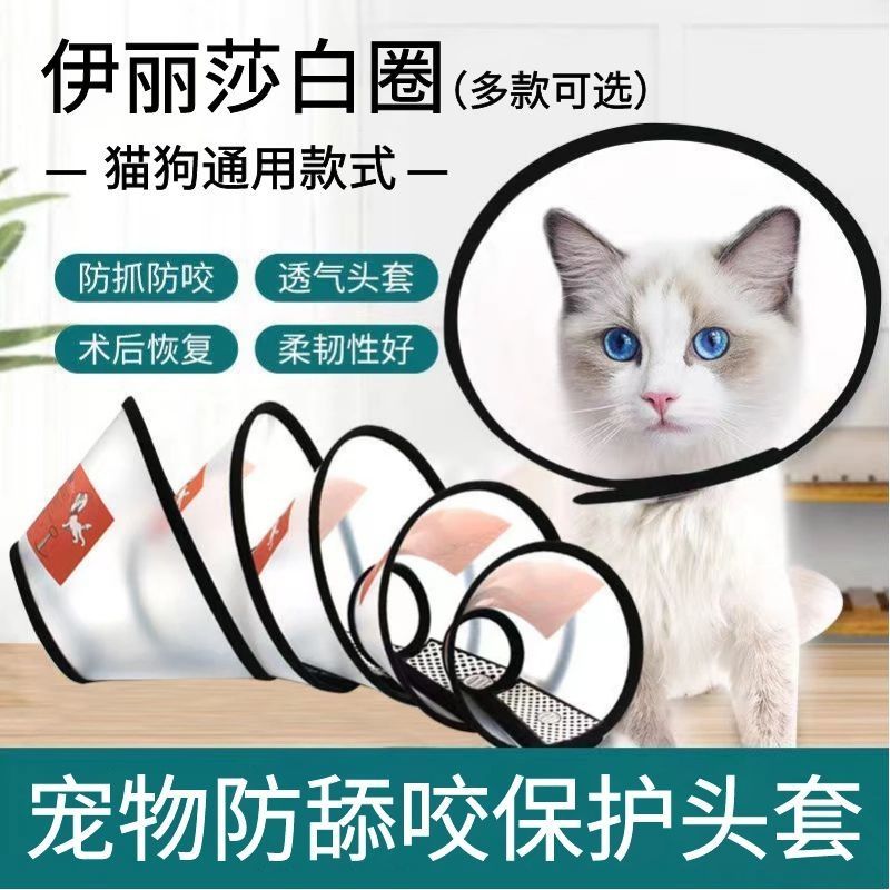 新款伊丽莎白圈狗狗猫咪项圈脖套防抓咬高颜值宠物头套猫咪驱虫圈