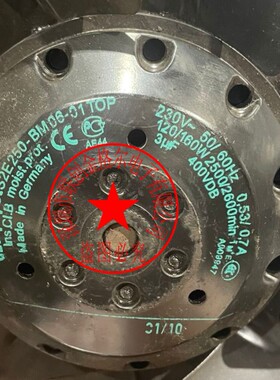 S2E250-BM06-01 -TOP 230V120/160W原装正品德国进口风扇