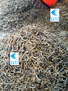 湖南特产益阳鱼干淡干鱼干泥鳅纯手工晒制花鳅晒干手工晒制赫山区