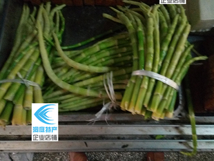 湖南农家特产农家新鲜笋子春笋小笋桃江笋子绿色竹笋1斤手工采摘