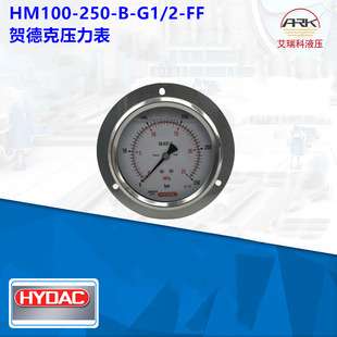 HM100-250-B-G1/2-FF德国HYDAC/贺德克压力表
