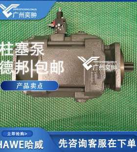 进口HAWE哈威V60N-110 RSFN-1-0-03/LSP-2-330柱塞泵