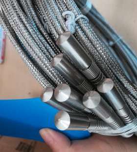 进口Reckmann电缆探头1R11-W3 热电偶 温度变送器