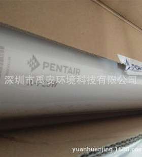 8寸进口中空纤维超滤膜美国滨特尔超滤膜Aquaflex55喷涂废水回用