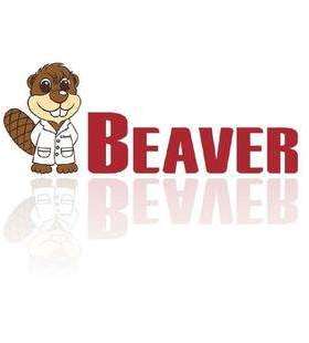 海狸BEAVER蛋白纯化磁珠Strep-tag Ⅱ蛋白纯化磁珠70808-50