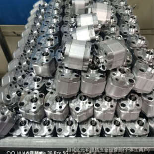 B4FL 齿轮泵CBK1004 B3FL CBK1004 A1FL B2FL