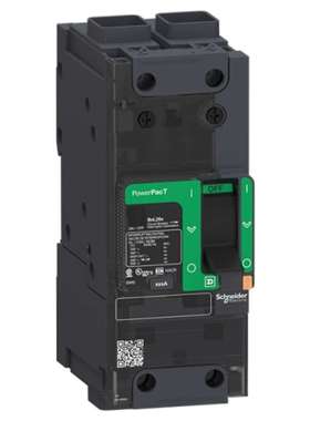Schneider BGF26025 施耐德电动PowerPact MCCB 2P 25A 制动能力