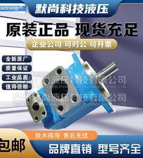 塞纳瑞SCENERY叶片泵S2520V/S3520V/S3525V/S4520V/S4520双联油泵