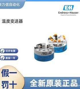TMT31-B2A1A1A1B3C1F1PA 恩德斯豪斯EH 热电阻 电磁流量计 电极