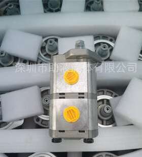 压缩站齿轮泵666000FM PLP20.14-82S1-LGE/GD/20.10 5-L**/GD-S7