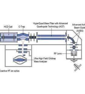 赛默飞Thermo Q Exactive? 组合型四极杆 Orbitra 质谱仪 超高性