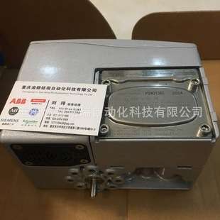 Flowserve定位器D20NSN2-U39PVB-Z4X0XN