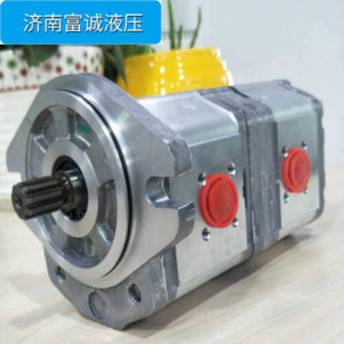 SAUER DANFOSS181.22.021.00 PLL 22 4 D SC46 MGL5丹佛斯泵