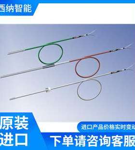 CORREGE封装电缆热电偶PT