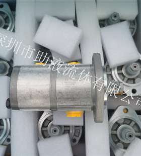 垃圾压缩站用卡萨帕齿轮泵PLP20.11 2-82S1-LGE/GD/20.9 666000R3