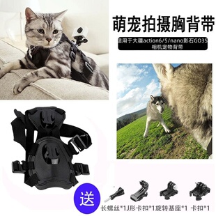 适用于大疆action6 nano影石GO3S运动相机宠物背带狗狗猫咪视角