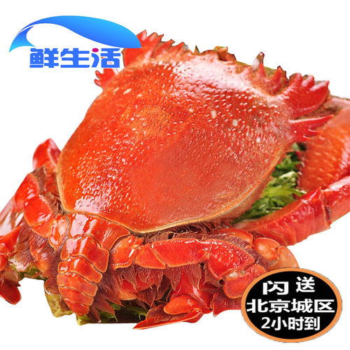 澳洲老虎螃蟹销量排行榜 澳洲老虎螃蟹品牌热度排名 小麦优选