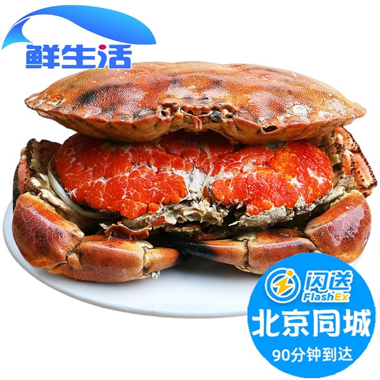 500-1000g 北京闪送 英国进口 熟冻 满黄 面包蟹 黄道蟹 海鲜