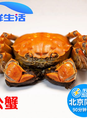 活蟹现货大闸蟹鲜活螃蟹河蟹