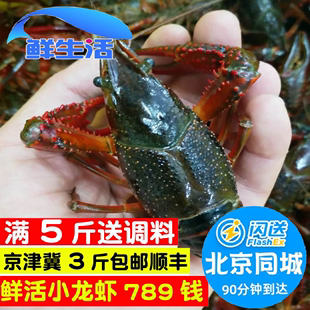 789钱 500g 北京闪送小龙虾鲜活盱眙清水活虾麻辣小龙虾新鲜水产