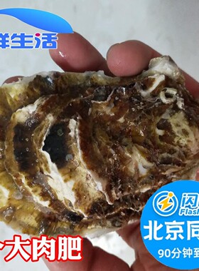 4-5两/只北京闪送鲜活牡蛎