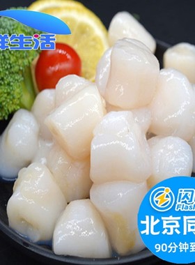 500g 新鲜冷冻瑶柱 带子刺身 帆立 北极鲜贝柱 海鲜水产宝宝辅食