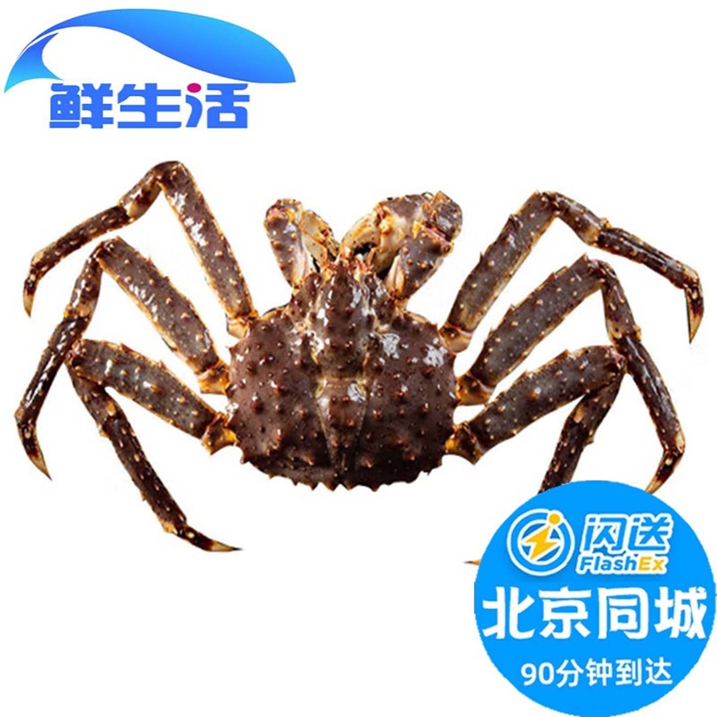北京闪送4-8斤1只俄罗斯进口鲜活帝王蟹大螃蟹皇帝蟹海鲜水产 - 封面