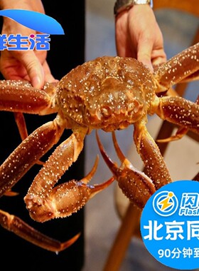 1.5-3斤1只 北京闪送 鲜活板蟹 长脚蟹 大松叶蟹 俄罗斯 雪蟹
