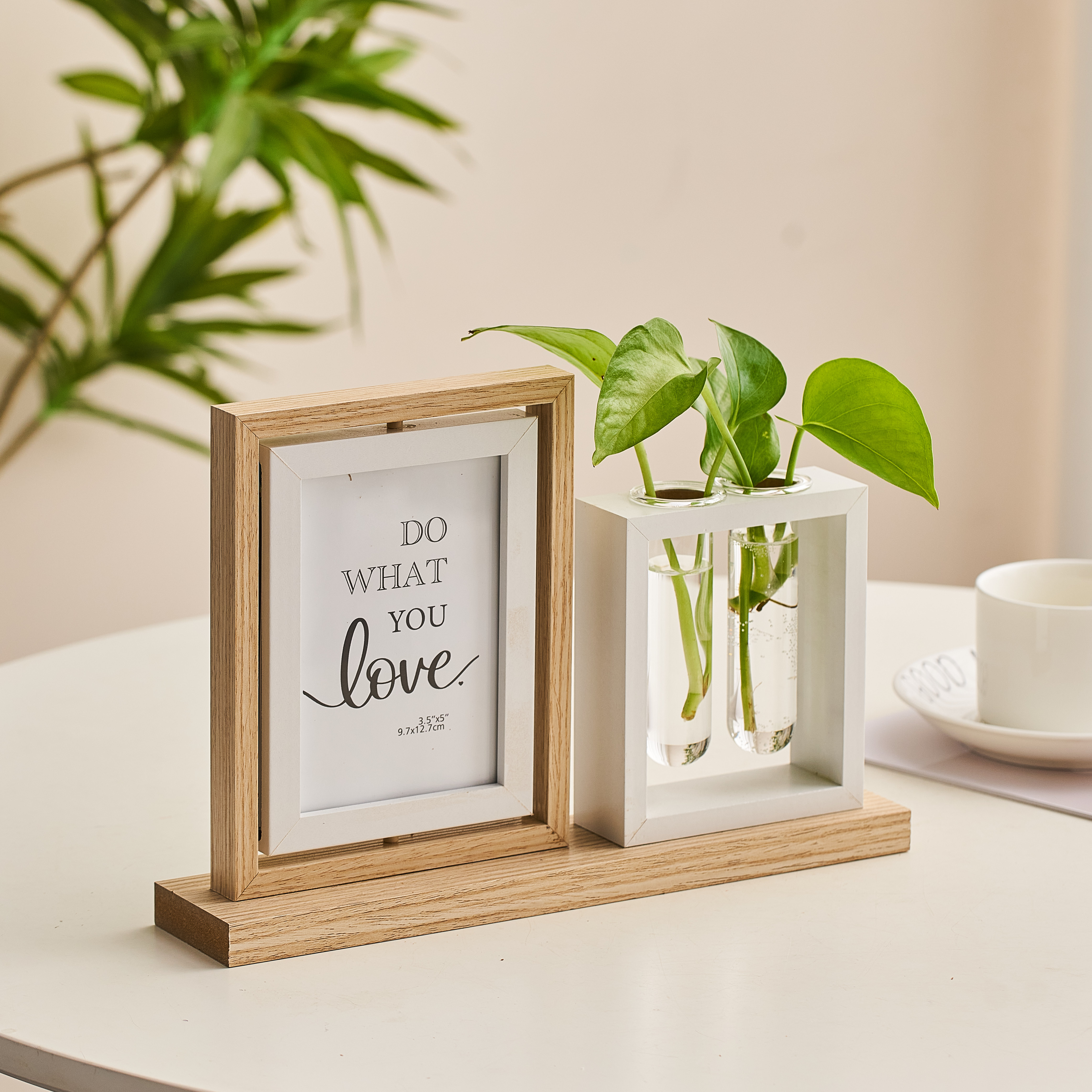 水培植物双面相框摆台5寸6寸入户玄关家居客厅书房桌面装饰品摆件