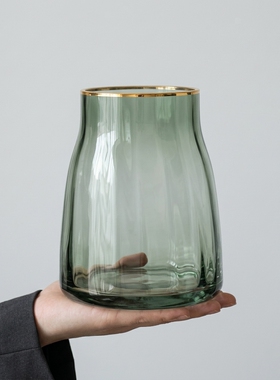 北欧轻奢玻璃花瓶水养绿植摆件