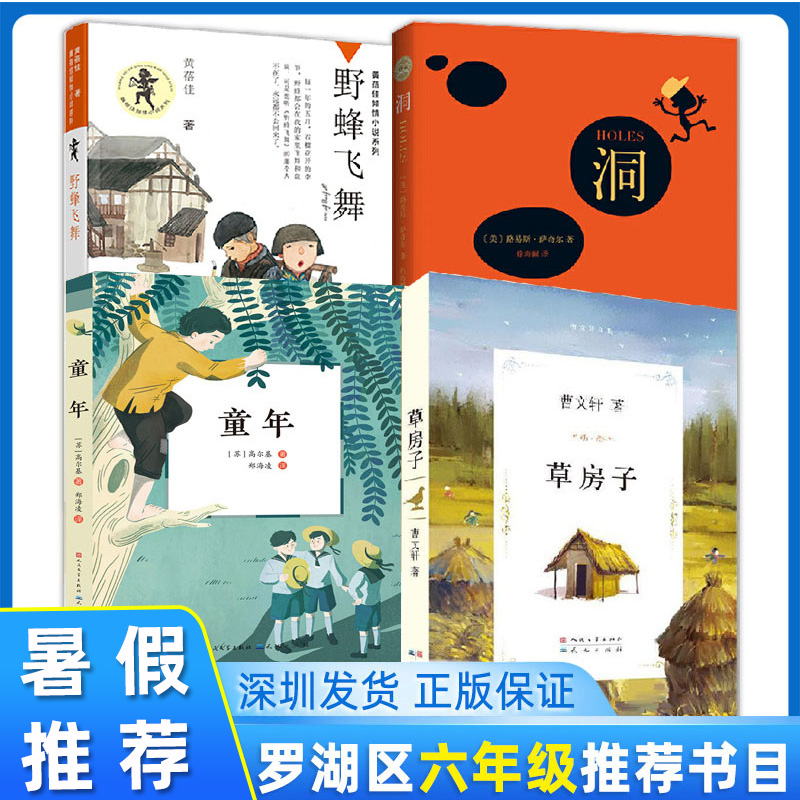 罗湖区六年级上学期暑假推荐书
