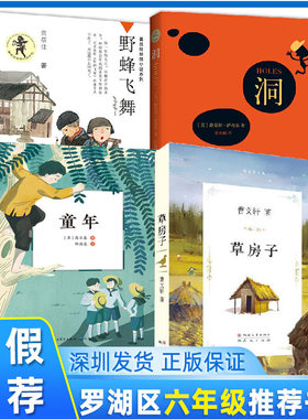 罗湖区六年级上学期暑假推荐书