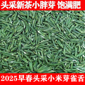 头采雀舌绿茶茶叶特级2025新茶春茶散装 雅安蒙顶山茶礼盒装 250g