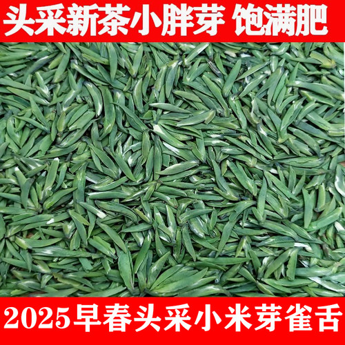 2025头采雀舌明前新茶蒙顶山茶